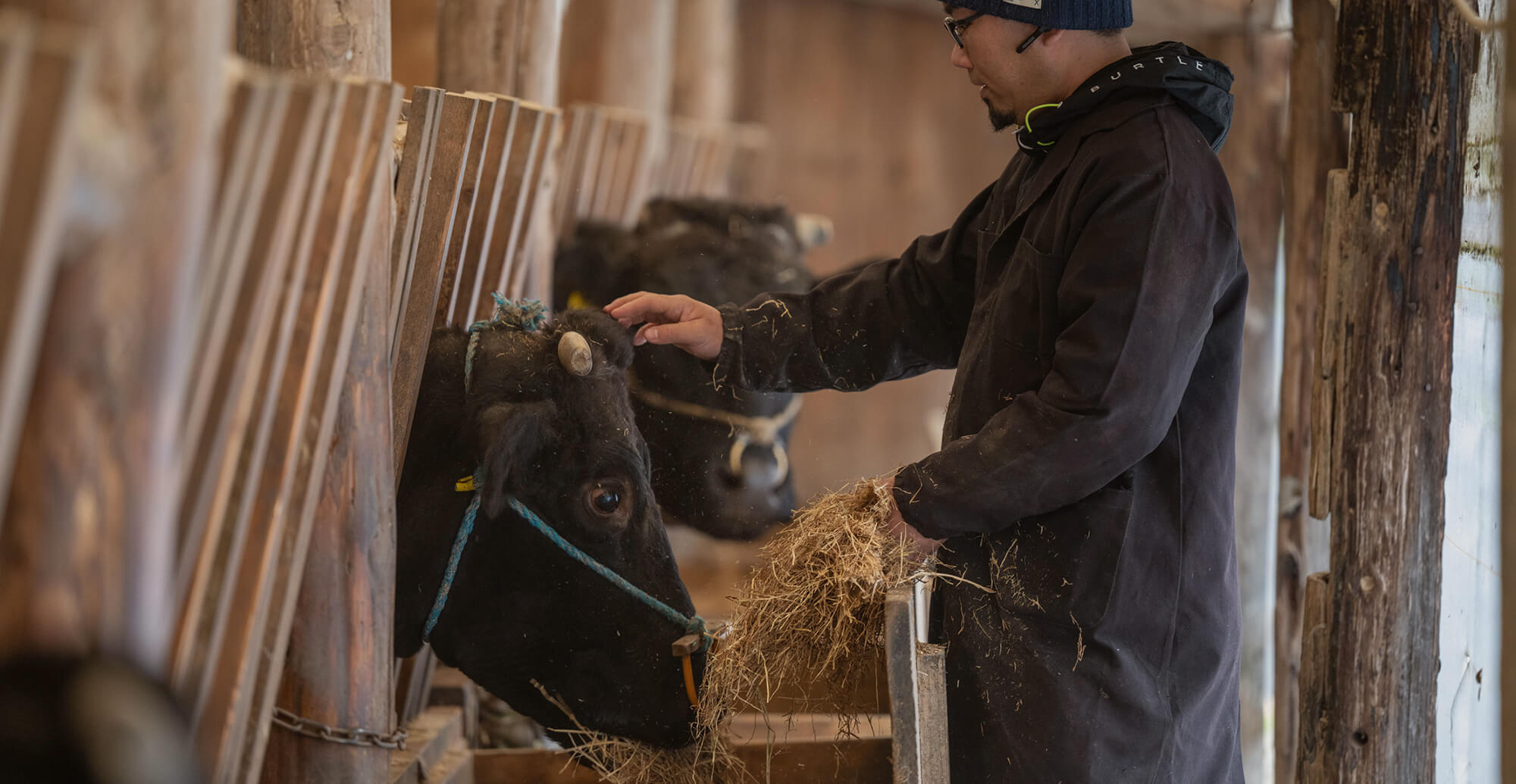 高津川の清らかな水と空気が育んだ、こだわりの一頭