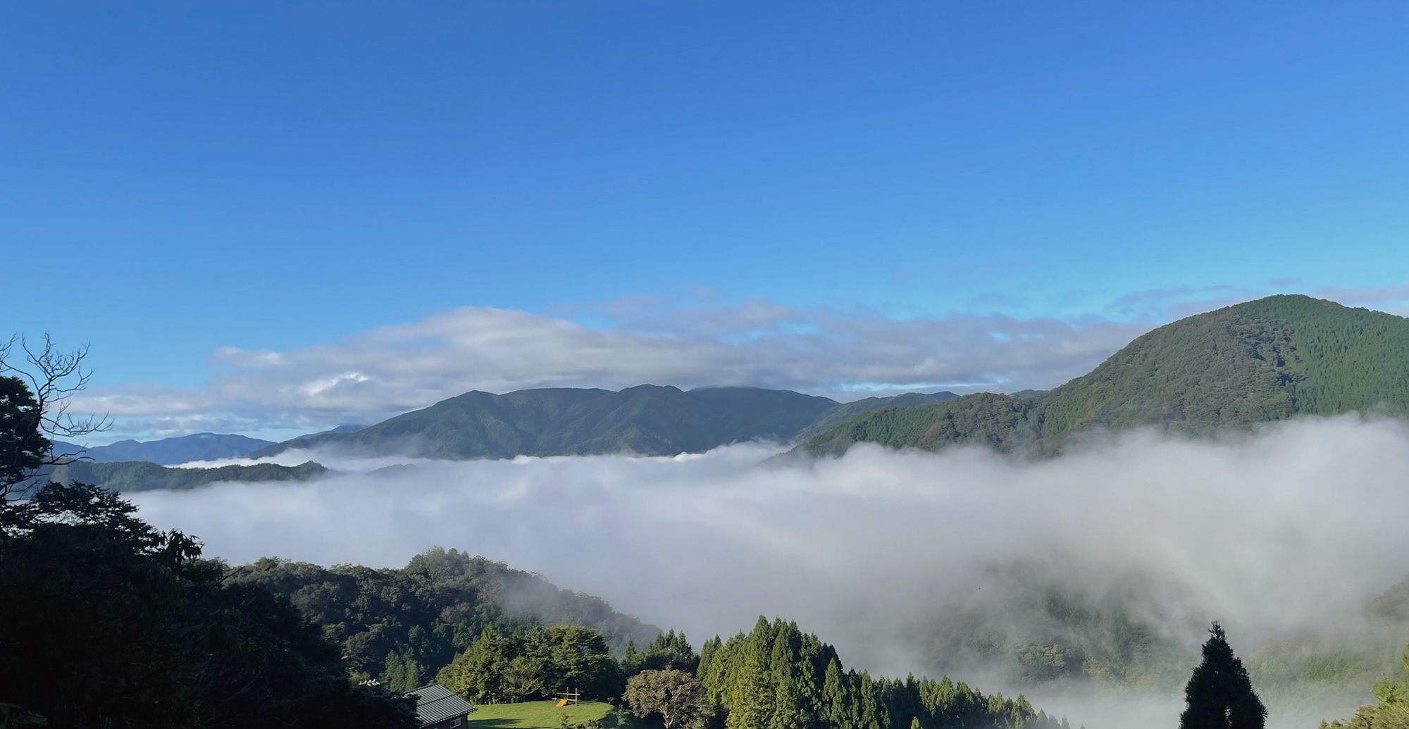 高津川の清らかな水と空気が育んだ、こだわりの一頭